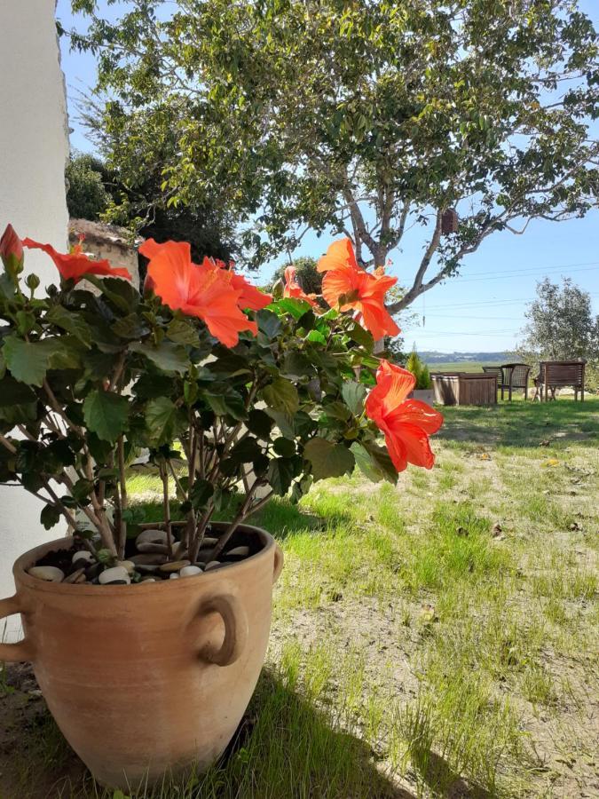 Апартаменти ***** Quinta Do Por Do Sol ***** Фігейра-да-Фош Екстер'єр фото